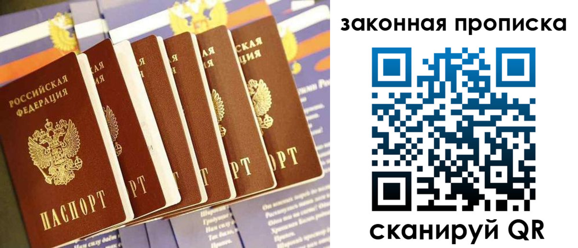 прописка ребенка в Александрове